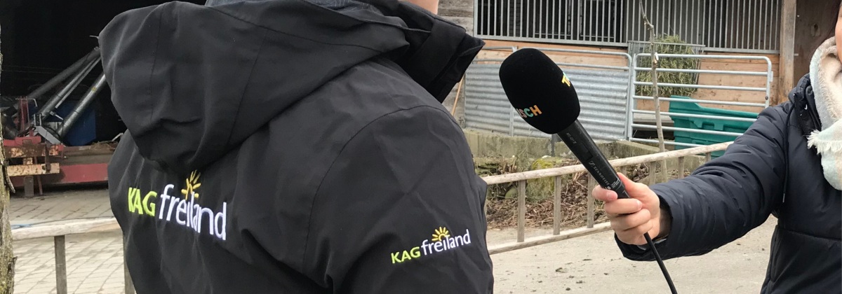 Bild Presseberichte