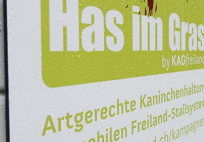 Artikel: Projekt