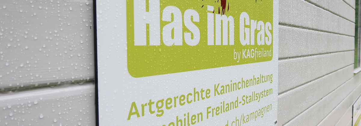 Bild Das<br />
Projekt