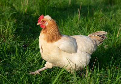 Artikel: Ausgangslage