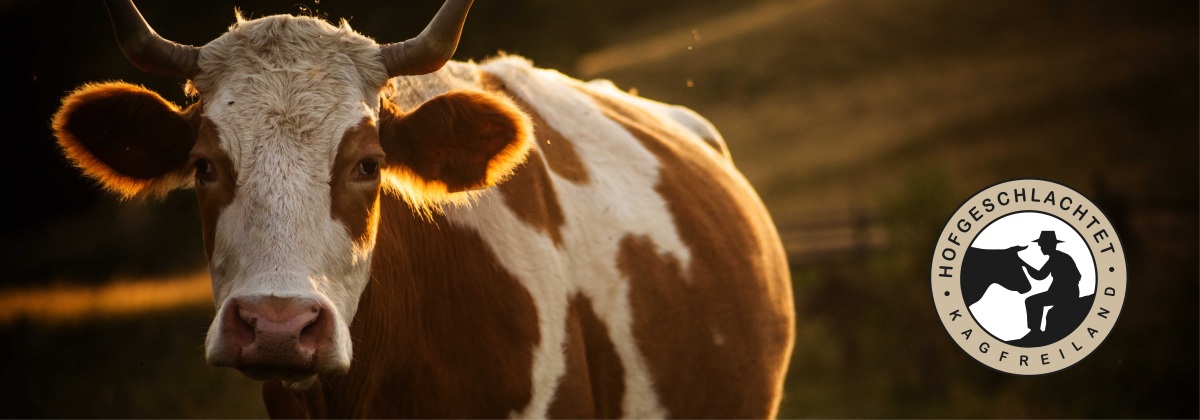 Bild Das<br />
Projekt