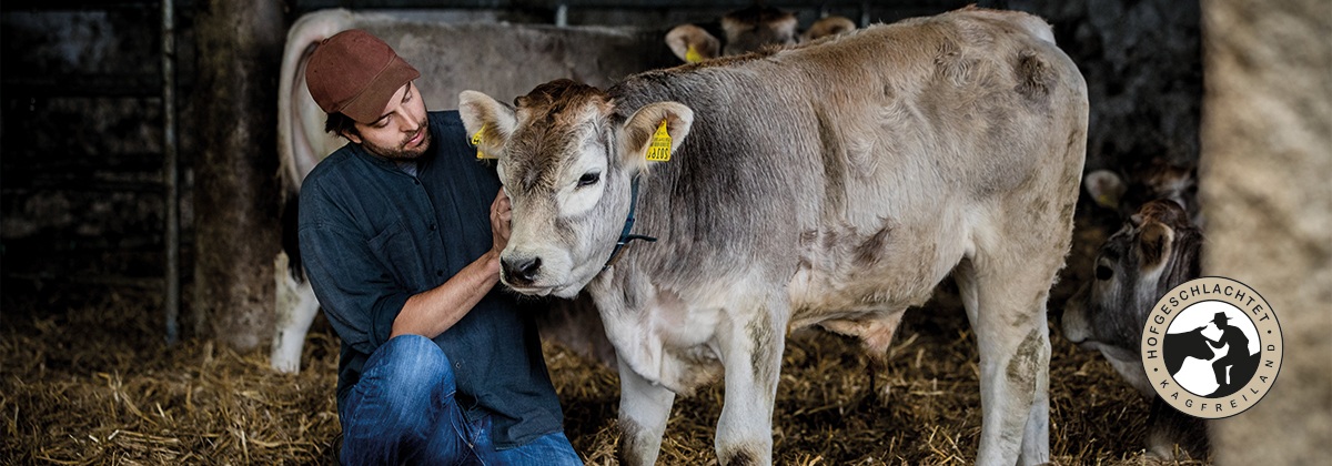 Bild Die<br />
Ausgangslage