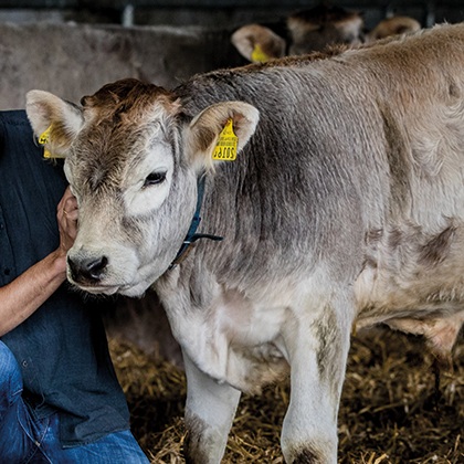 Bild Die<br />
Ausgangslage