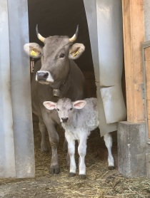 Artikel: Ausgangslage